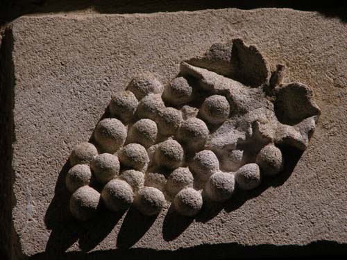 Stone grapes above a doorway