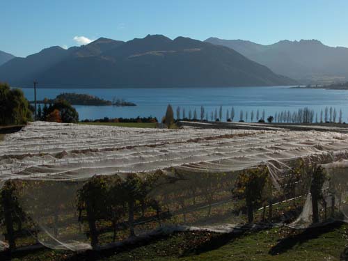 Lake Wanaka, New Zealand